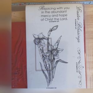 STAMPIN UP Abundant Hope 4